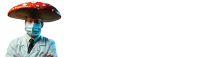 Professor Cogumelo