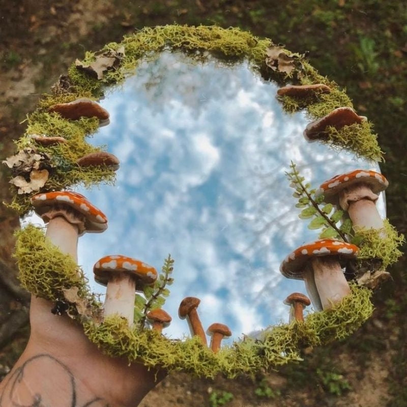 Espelho Místico de Cogumelos Mágicos